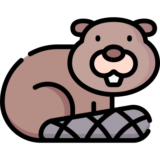 Beaver
